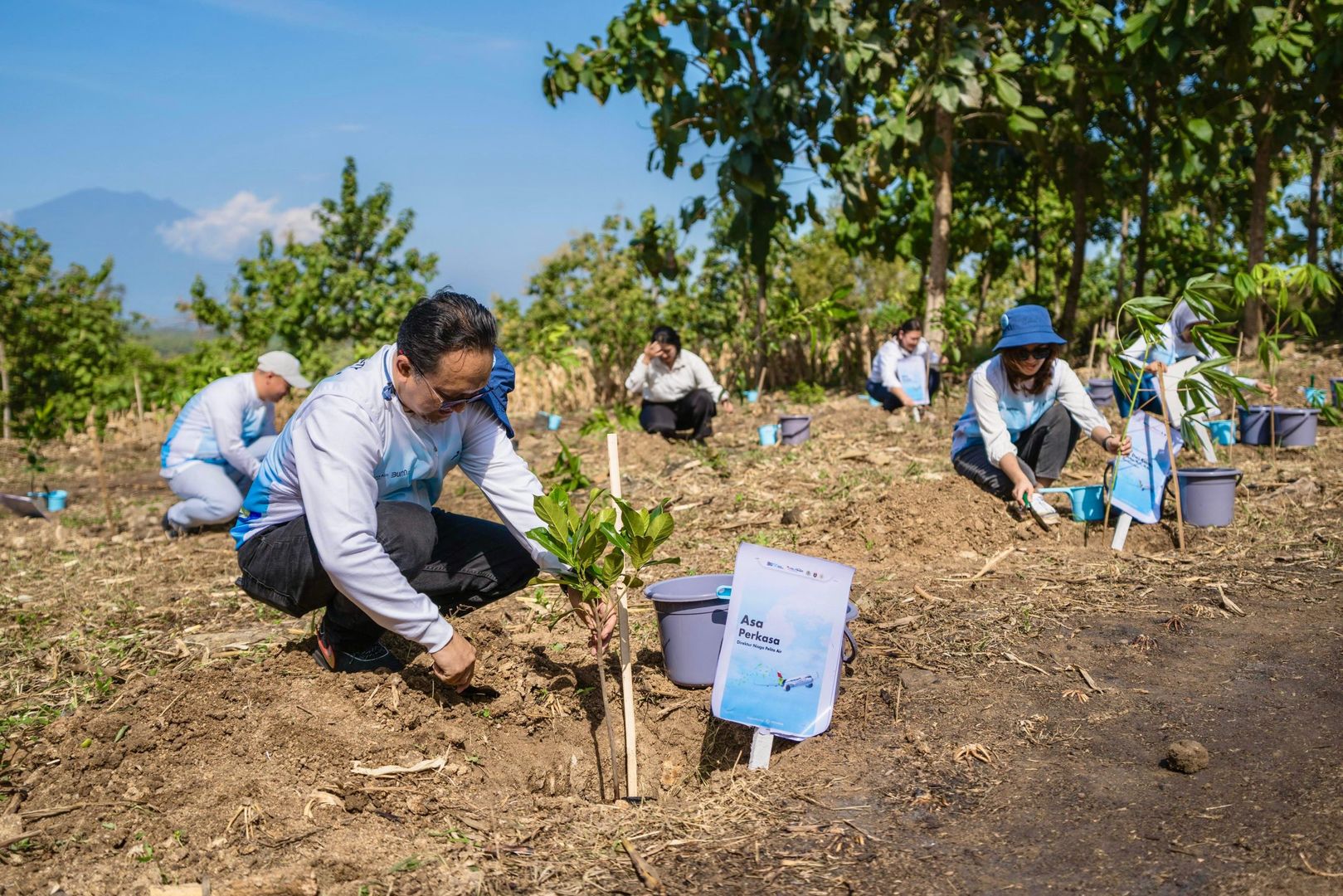 Peduli Lingkungan, Pelita Air Bersama Pertamina Tanam 10 Ribu Pohon di Jatim